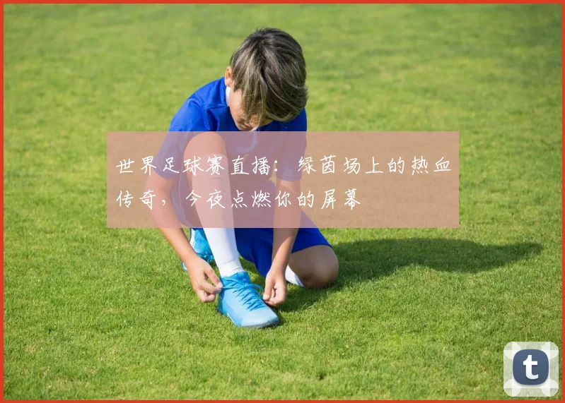 世界足球赛直播：绿茵场上的热血传奇，今夜点燃你的屏幕