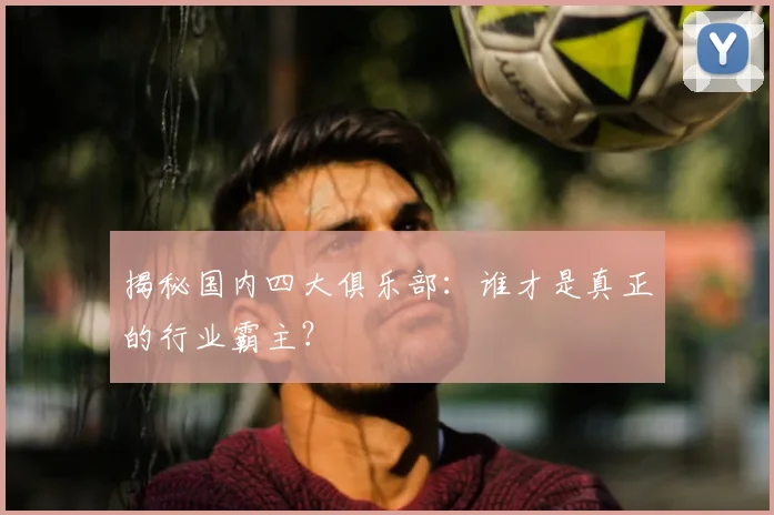 揭秘国内四大俱乐部:谁才是真正的行业霸主?